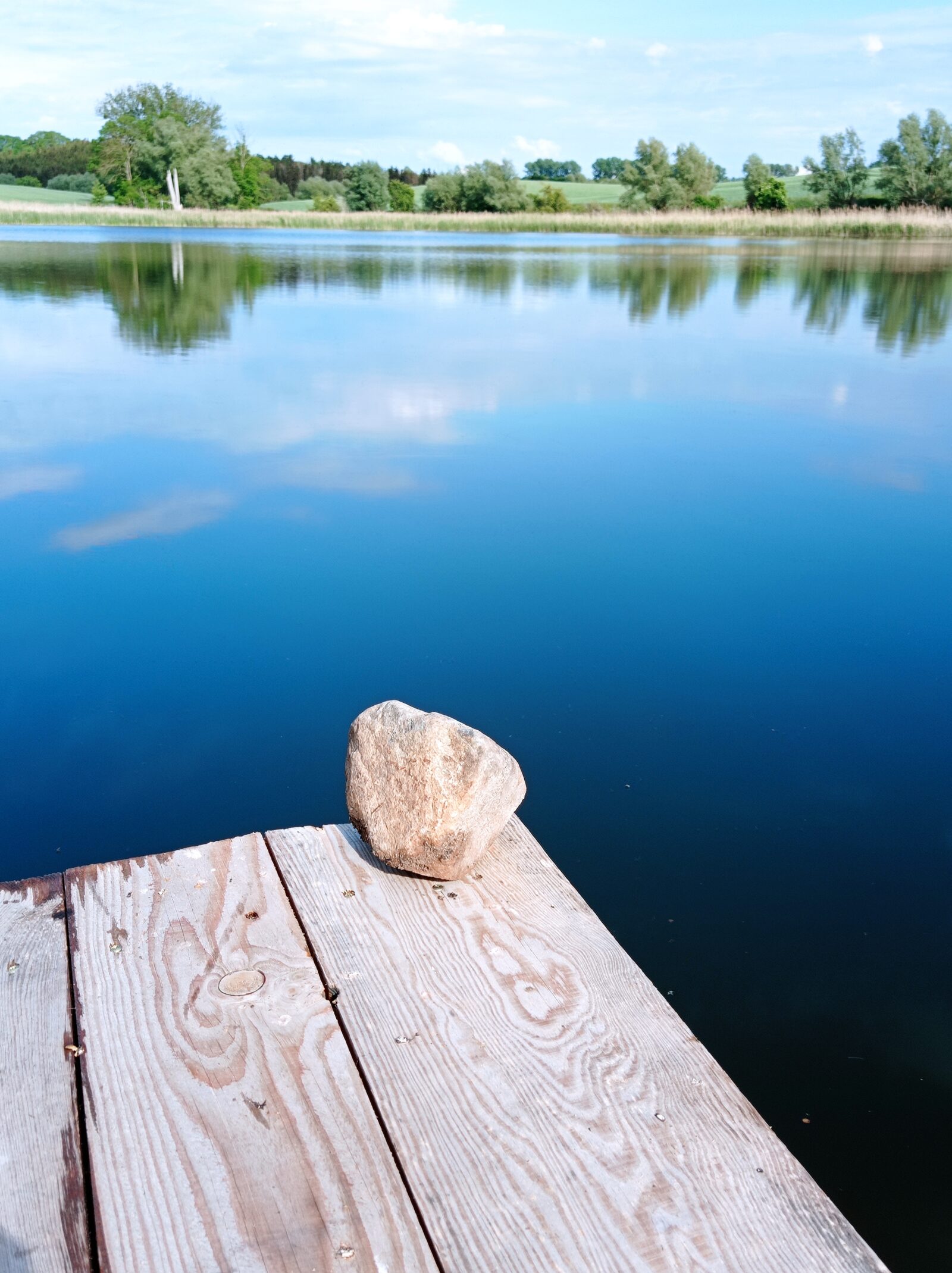 Elterncoaching in herausfordernden Phasen