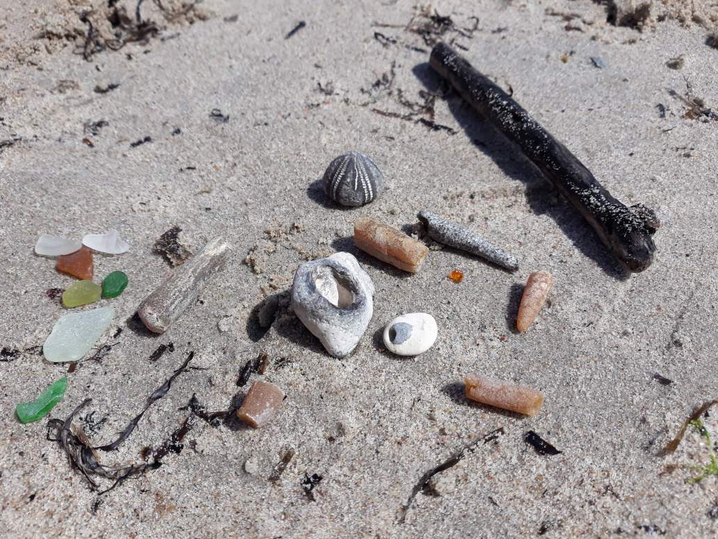 Strandgut mit Kindern sammeln